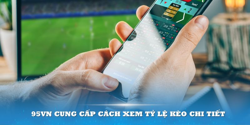 95VN cung cấp cách xem tỷ lệ kèo chi tiết